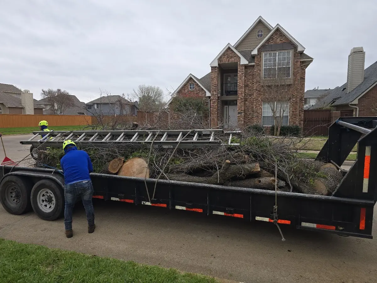 Expert Tree Fertilization with proper safety equipment in Mapleton